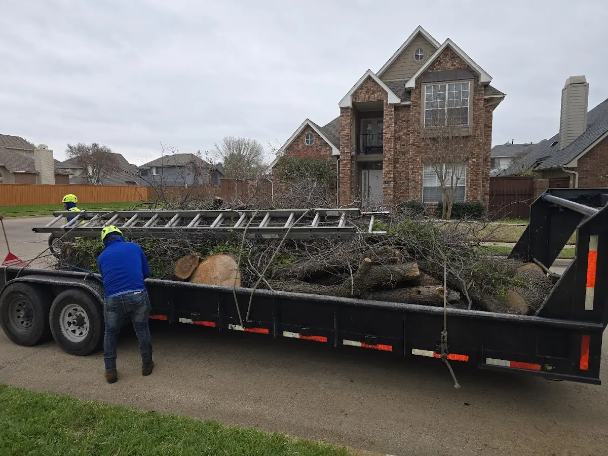Expert Tree Fertilization with proper safety equipment in Ucon